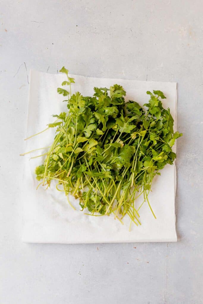 How to Keep Cilantro Fresh In the Fridge