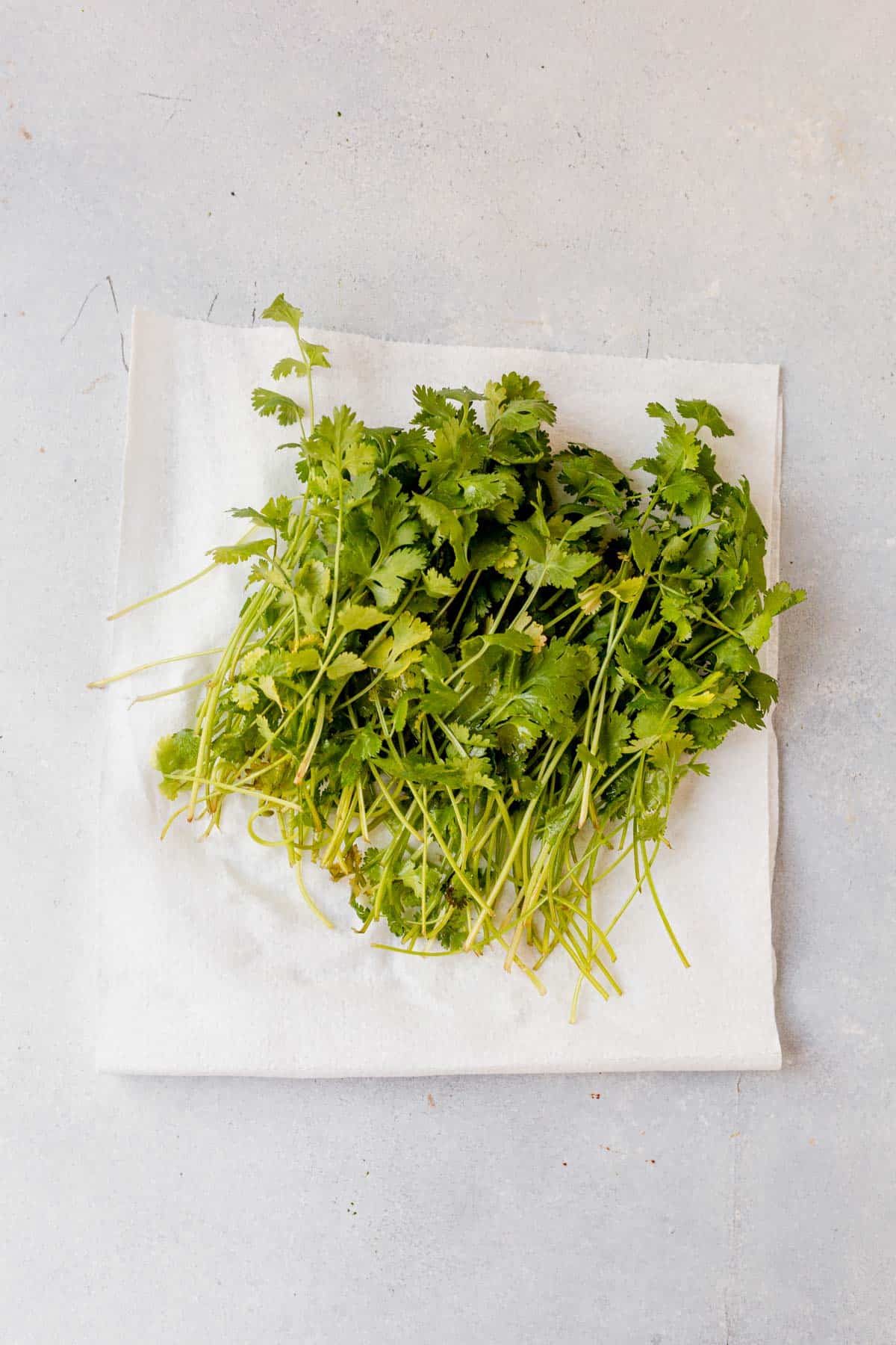 a bunch of fresh cilantro laying on a folded paper towel