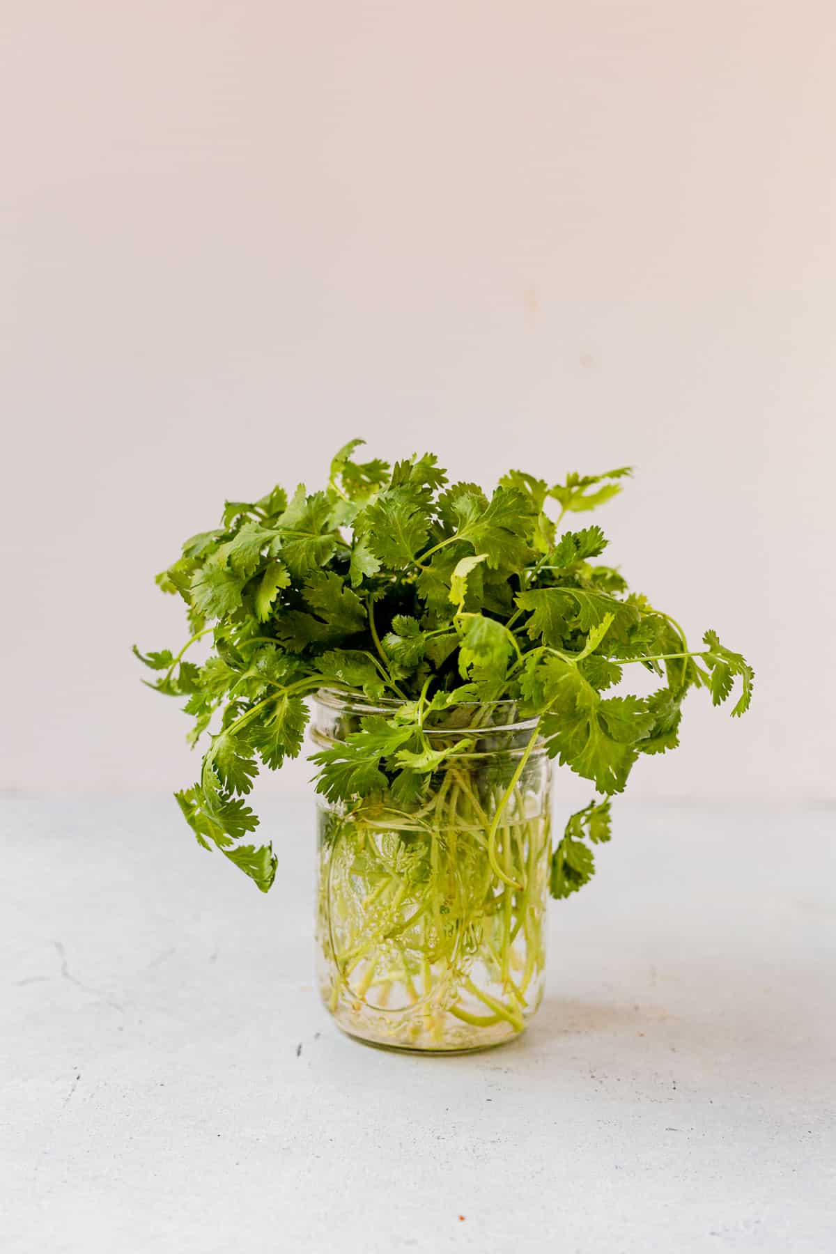 cilantro in a glass jar