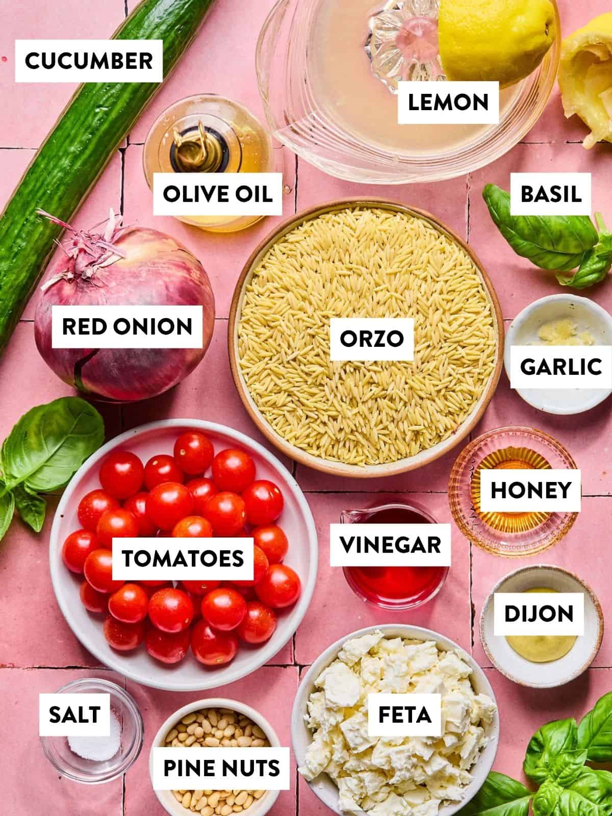 A flat lay of labeled ingredients for a lemon basil orzo salad, featuring cucumber, red onion, tomatoes, orzo pasta, olive oil, vinegar, lemon, fresh basil, garlic, honey, Dijon mustard, feta cheese, pine nuts, and salt.