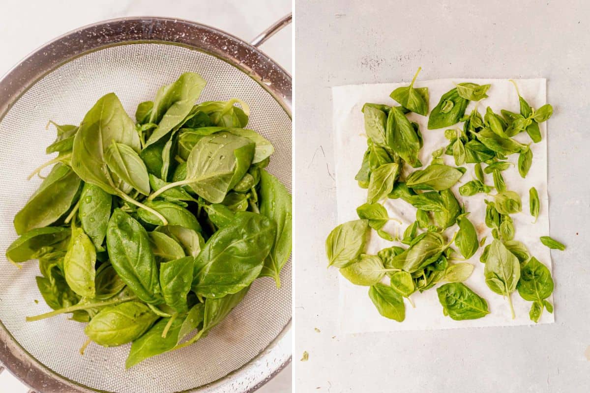 how to wash and dry basil