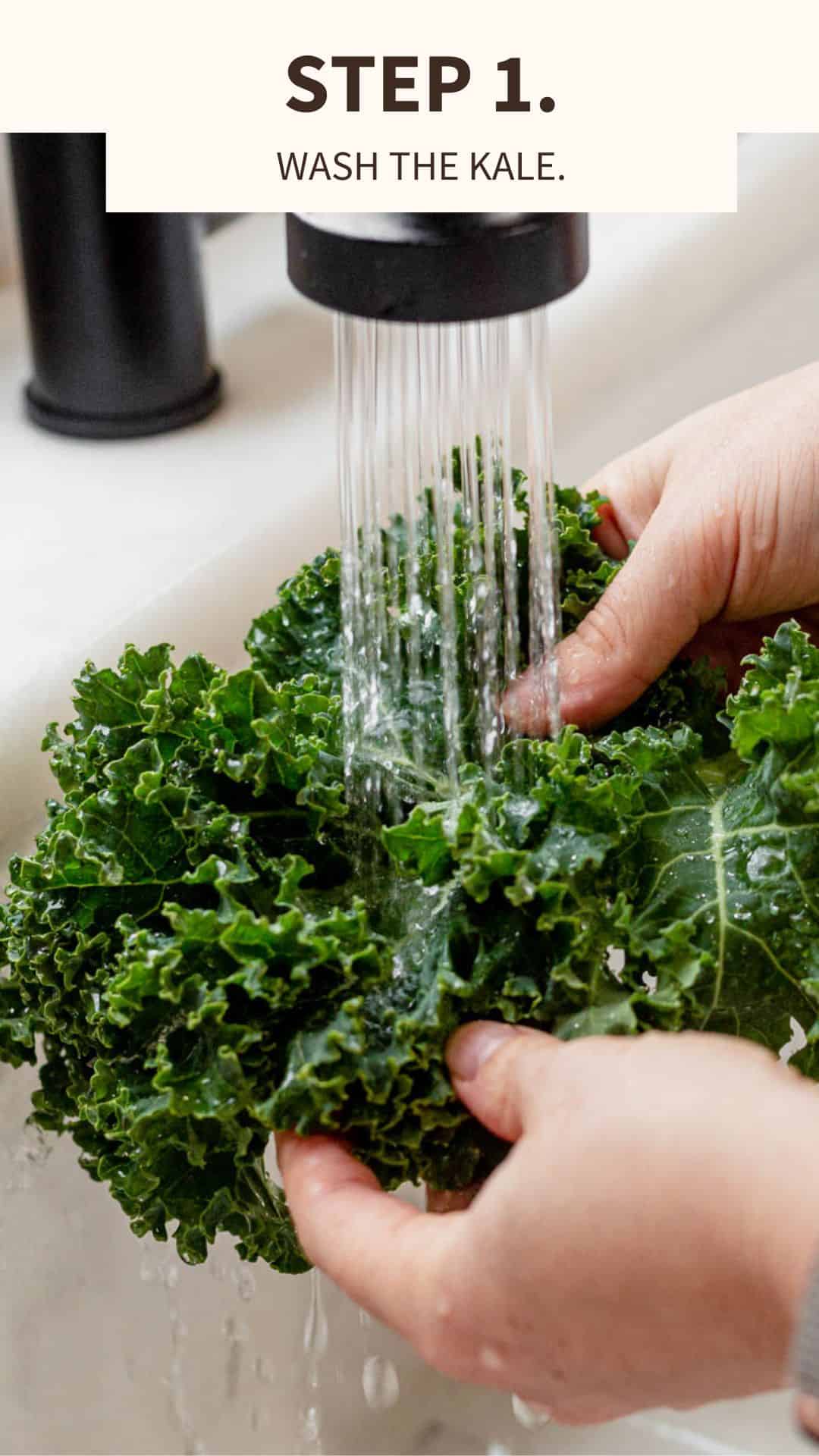 hands running kale under water in the kitchen sink