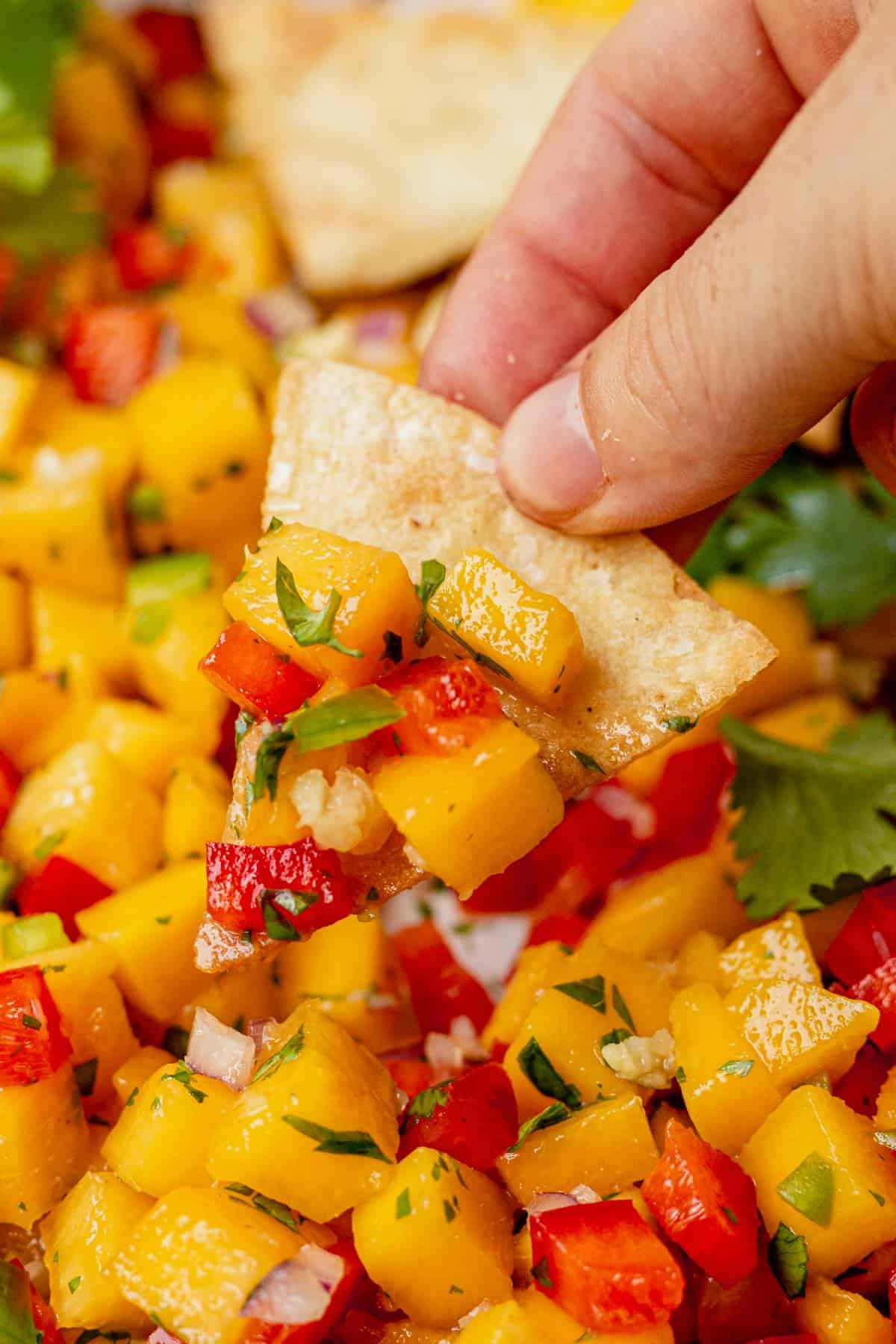 scooping peach mango salsa onto a chip