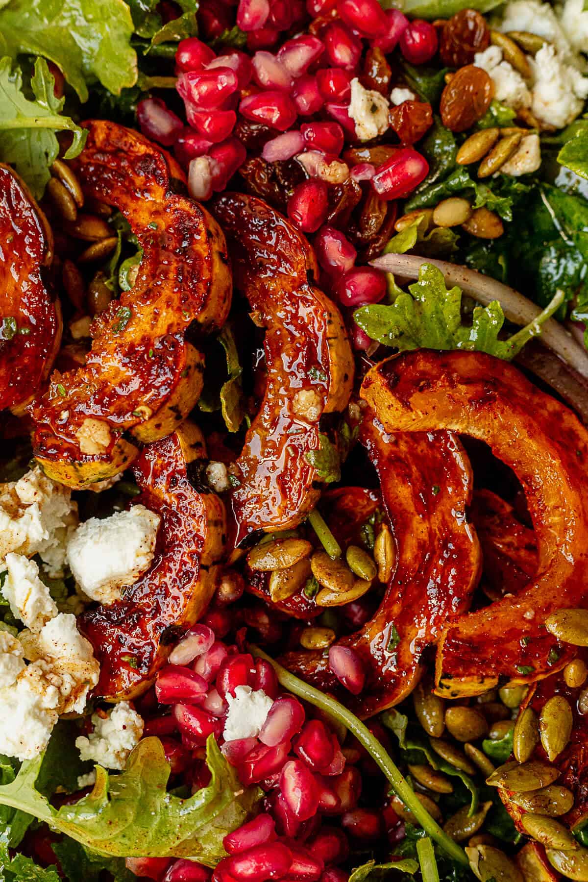 roasted delicata squash on a bed of greens with pomegranate, onion, goat cheese, and pecans