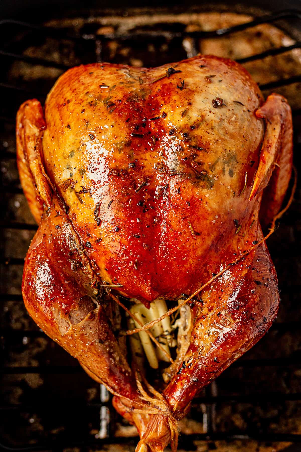 the crispy skin of a roasted turkey in a roasting pan