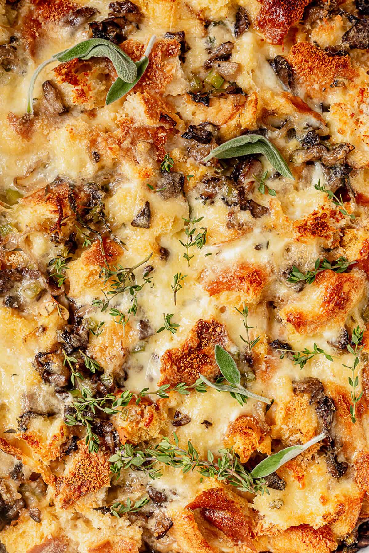 the cheesy golden brown top of a savory bread pudding showing the mushrooms and herms throughout