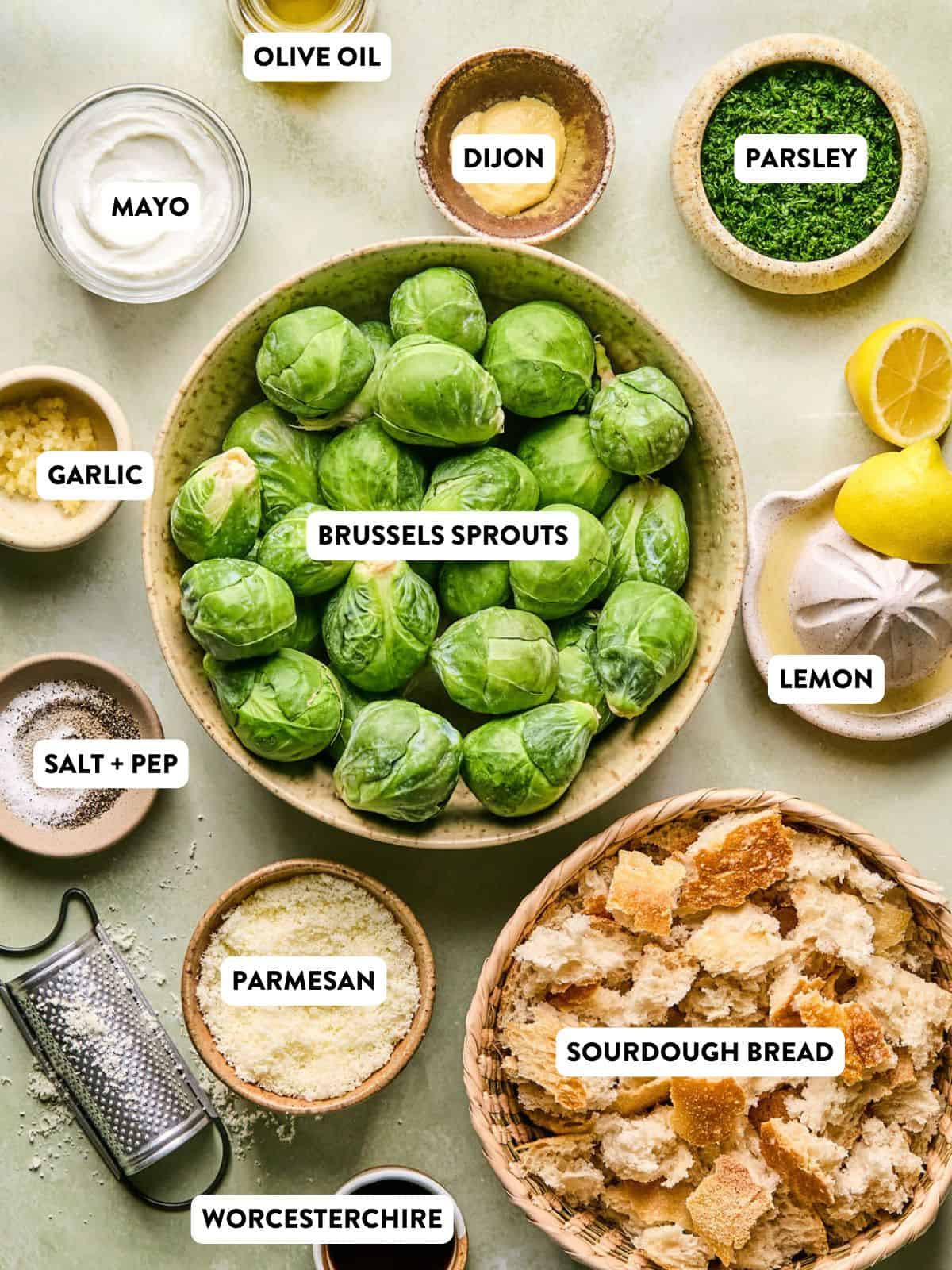 brussels sprout caesar salad ingredients on a counter.