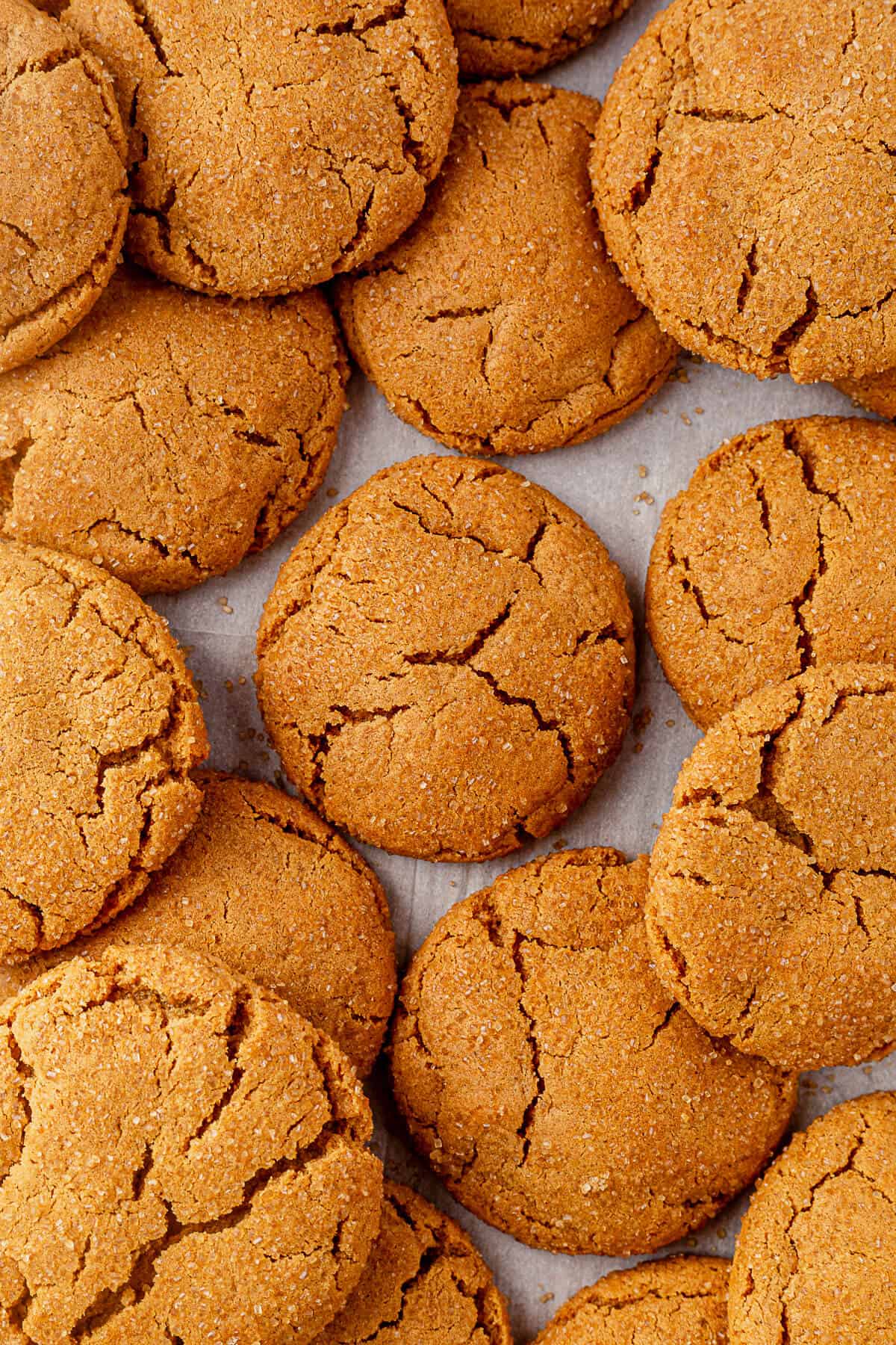 freshly baked crackly soft ginger cookies on a tray