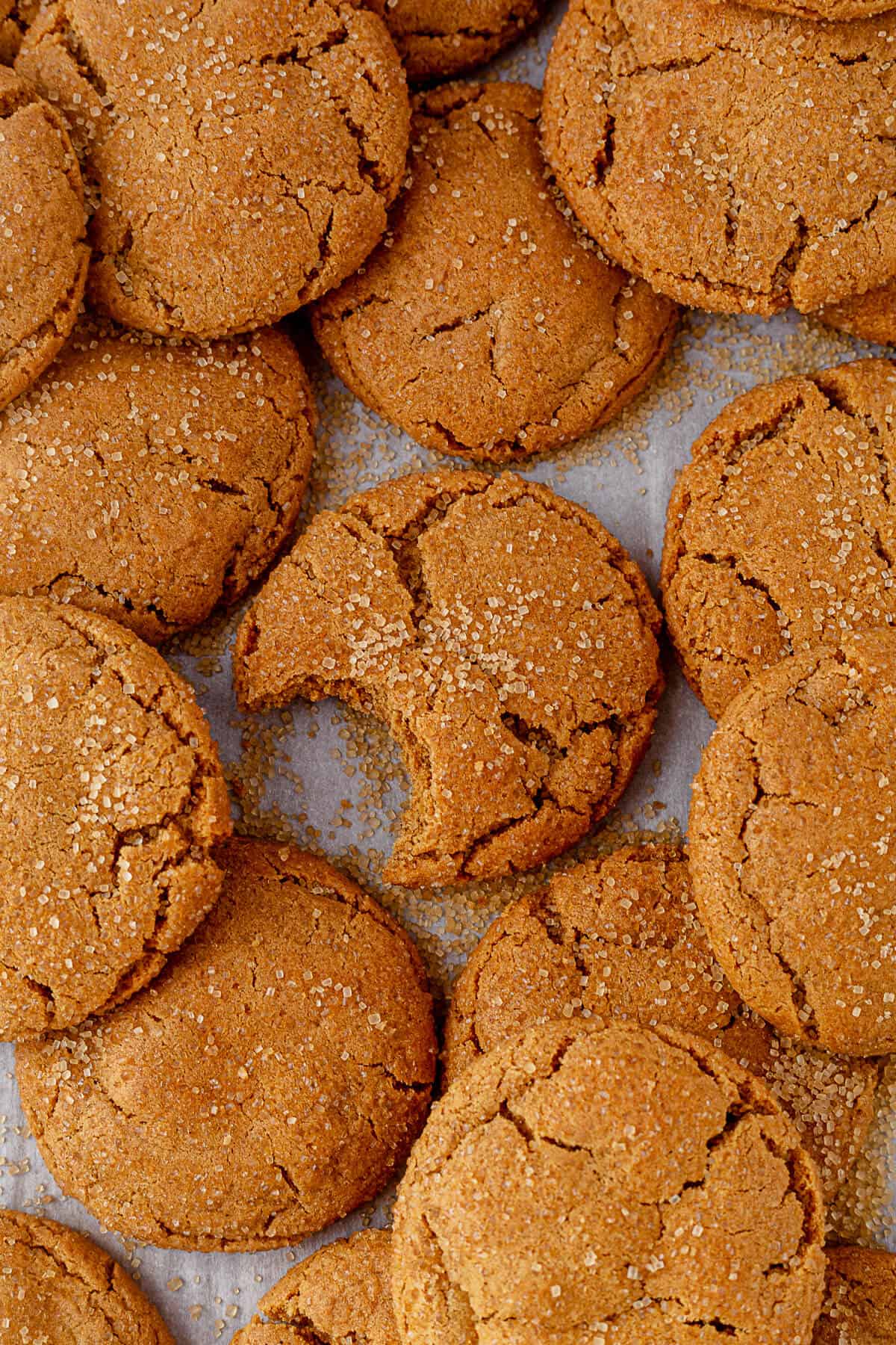freshly baked ginger cookies sprinkled with coarse sugar on a cookie sheet