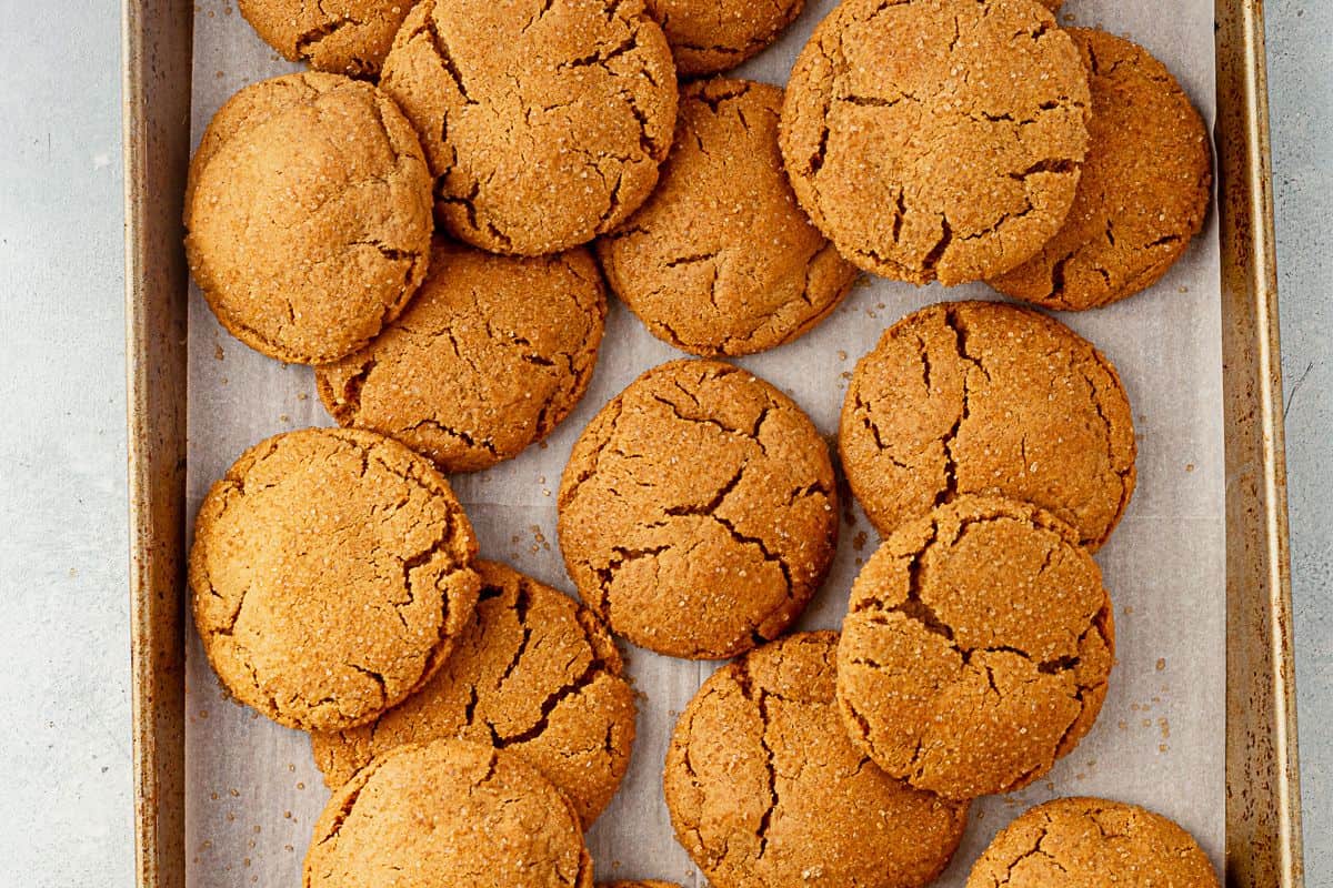 a tray of baked ginger cookies