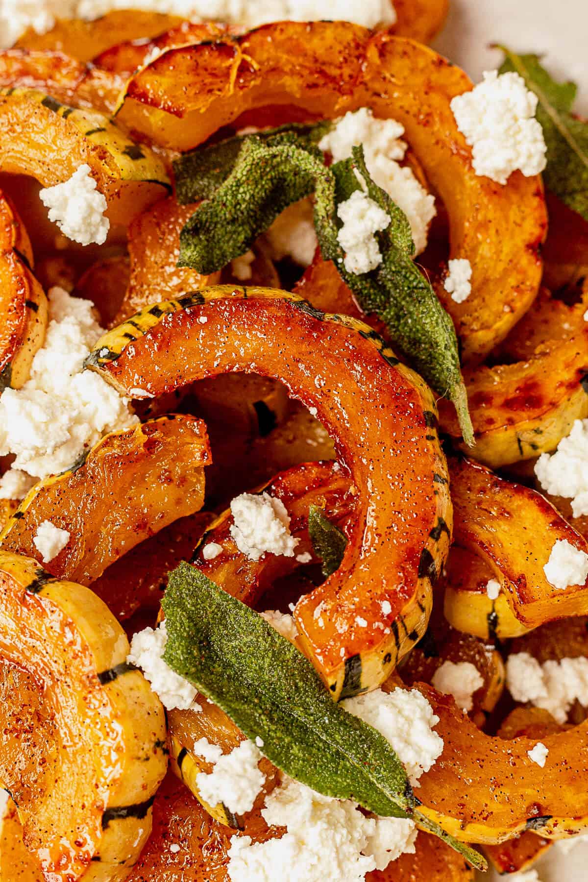 roasted delicata squash with brown butter, sage, and ricotta