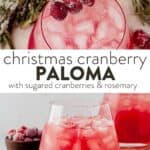 christmas cranberry paloma garnished with sugared cranberries and rosemary and then a highball glass of christmas cranberry paloma served on ice