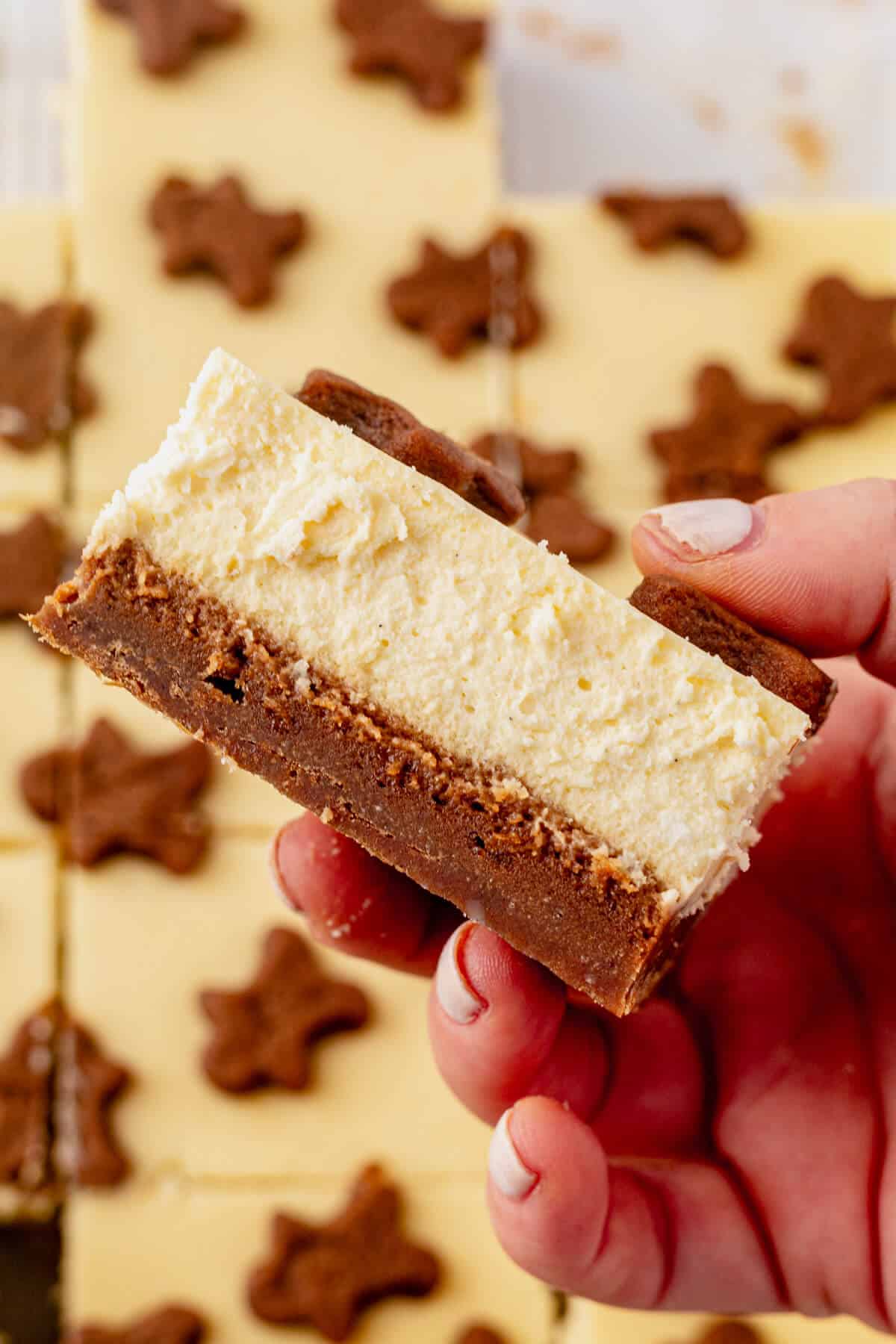 holding a gingerbread cheesecake bar