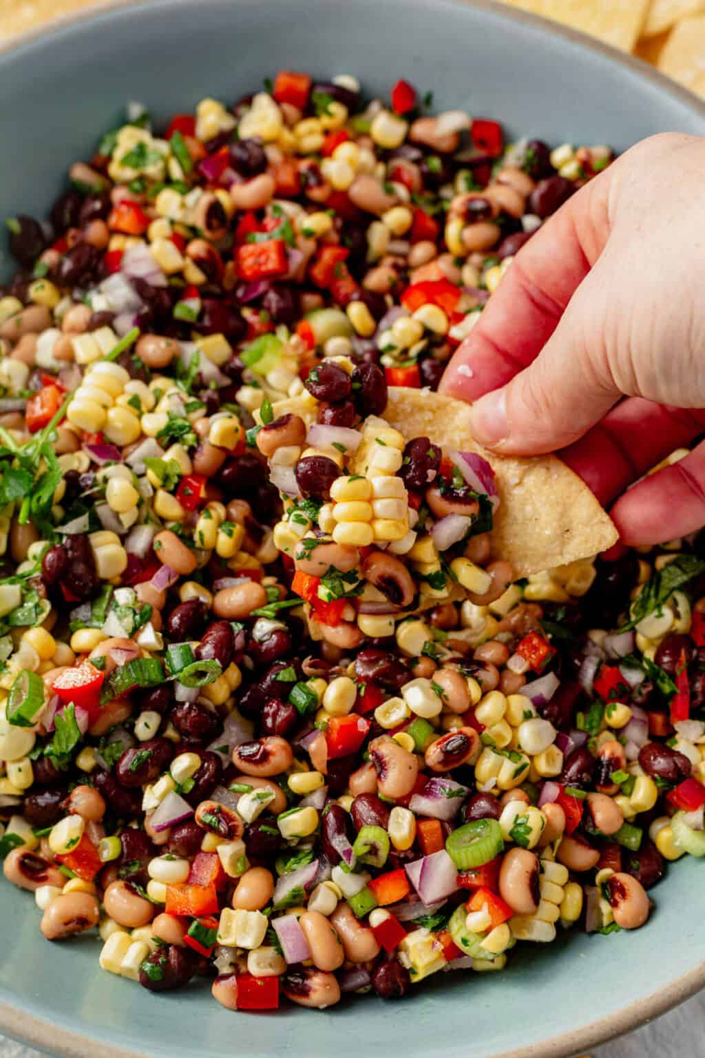 Easy Black Bean and Corn Dip Recipe