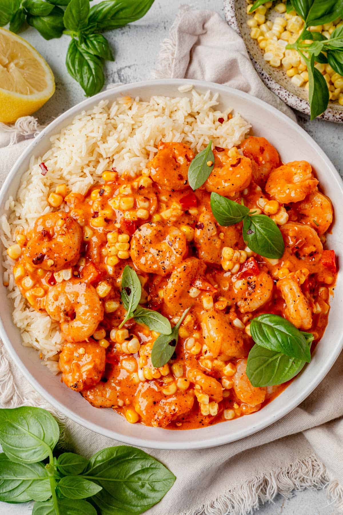 a bowl of creamy coconut shrimp with rice