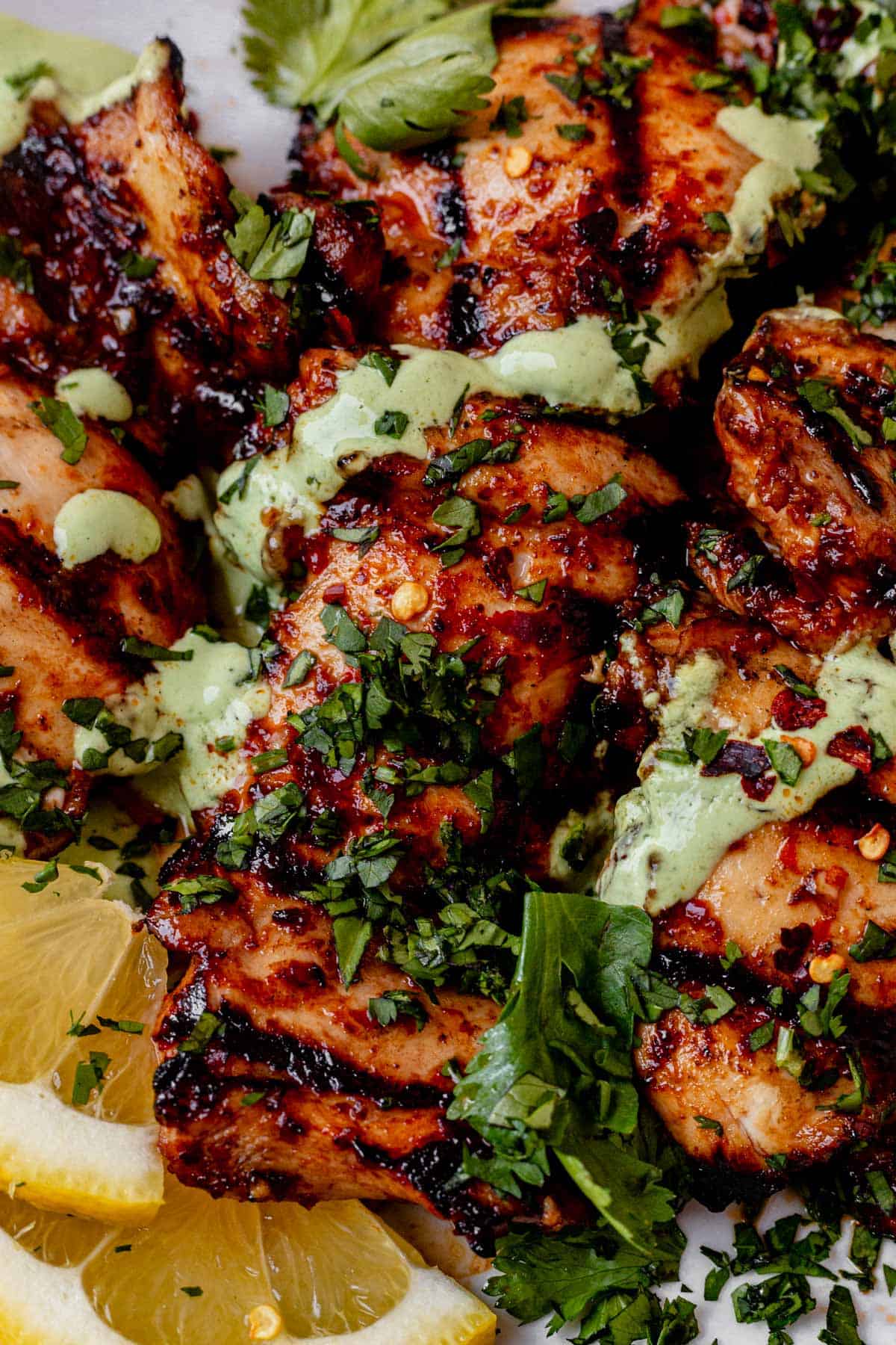 grilled chicken and harissa with yogurt sauce