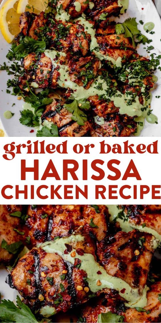 Harissa Chicken (Grilled or Baked)