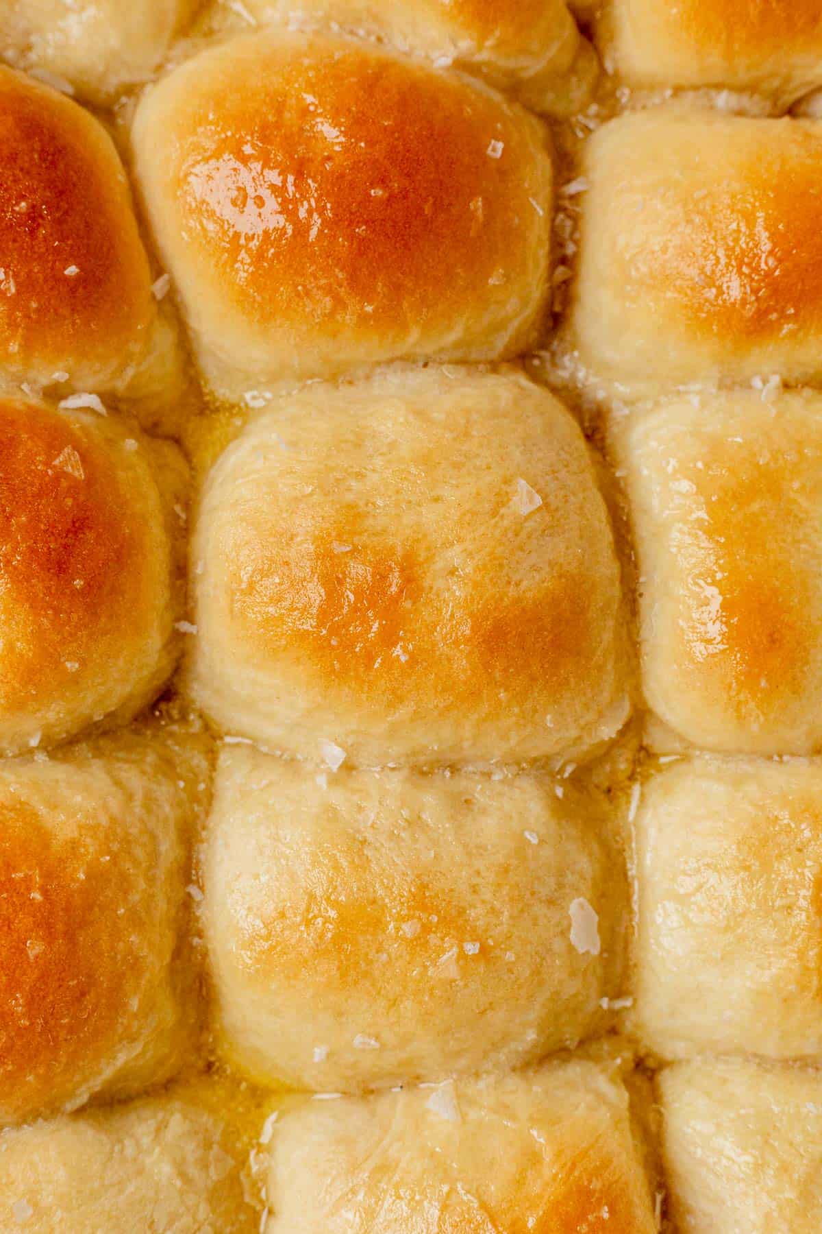 cottage cheese dinner rolls in a baking dish.