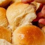 cottage cheese dinner rolls pin