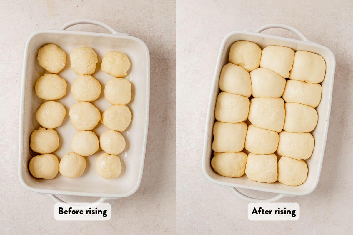 two images of unbaked cottage cheese dinner rolls in a pan before and after rising.