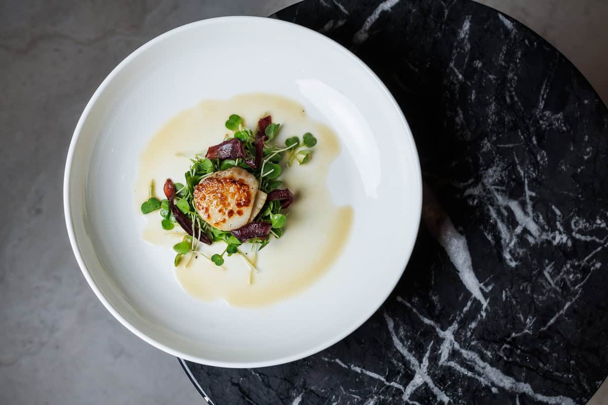 scallop on a bed of greens.