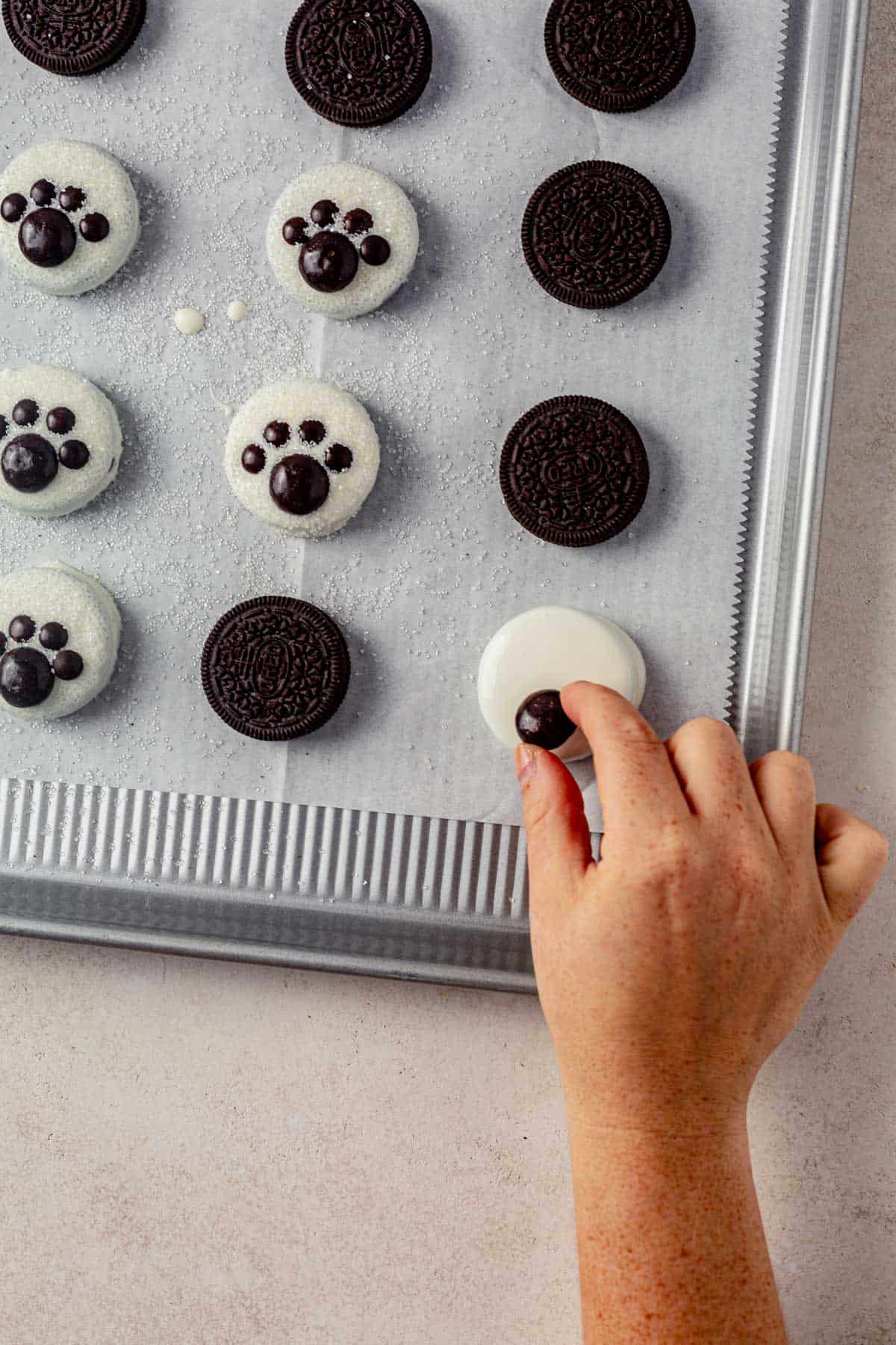 decorated a white chocolate covered oreo with junior mints to create a paw print.