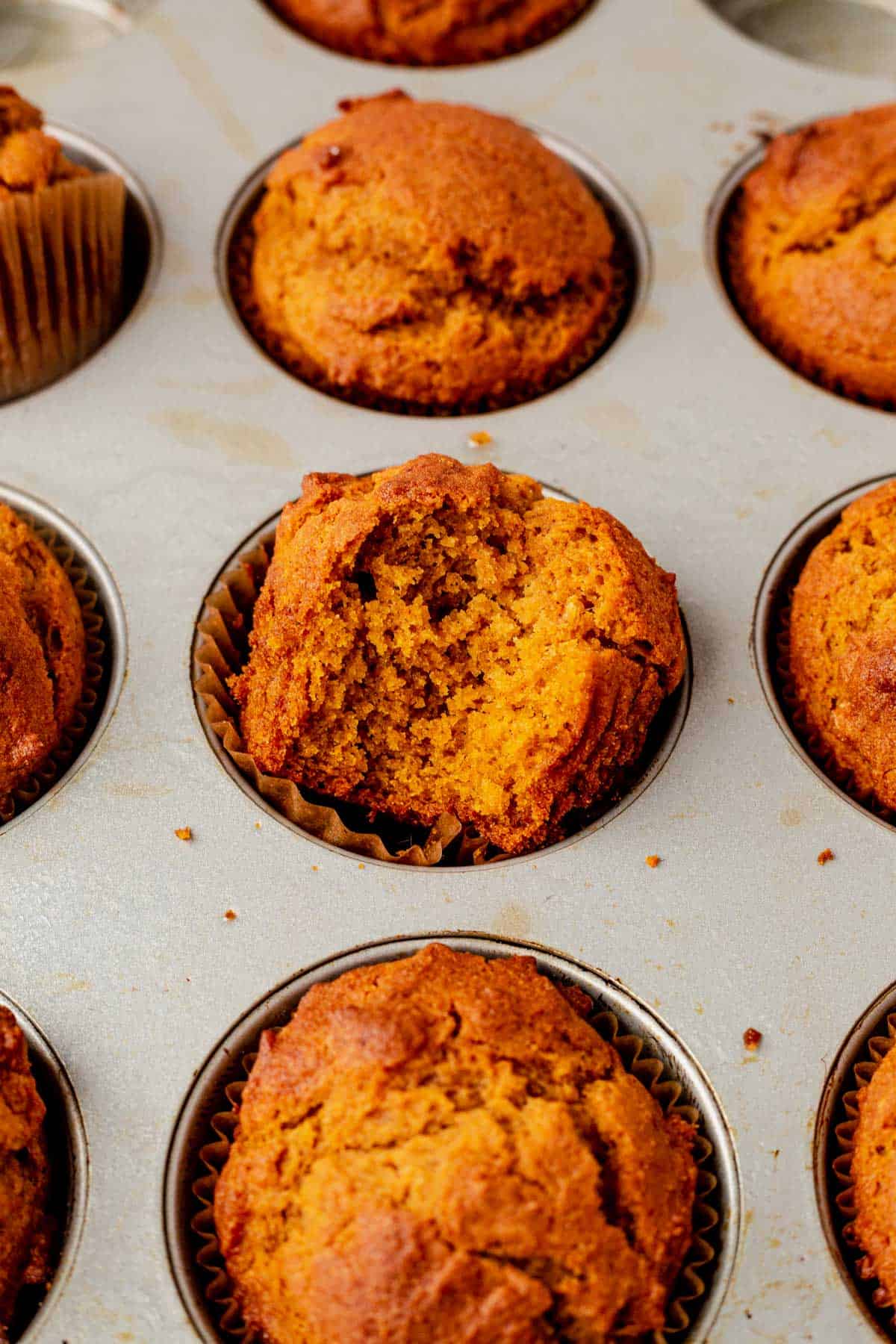 These gluten free pumpkin muffins are filled with pure pumpkin, fall spices and chocolate chips. Enjoy a delicious muffin in the morning this fall without all the gluten! gluten free pumpkin muffins cooling in a muffin tin. the middle muffin is popped up and has a bit taken out.