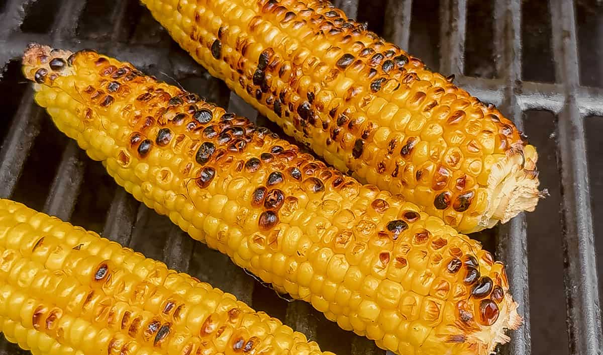Ears of corn grilling on a hot grill with char marks developing on the kernels.