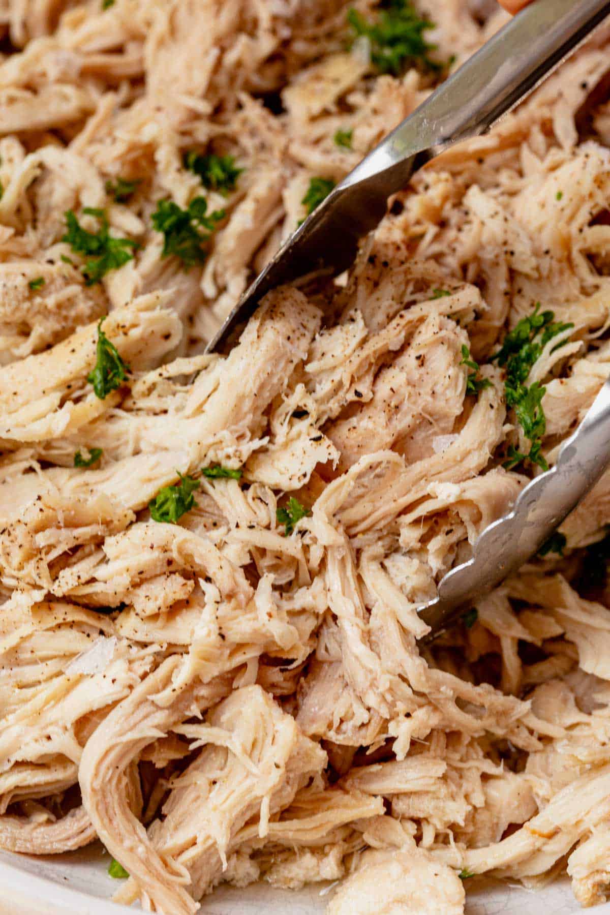 picking up crock pot shredded chicken with a pair of tongs.