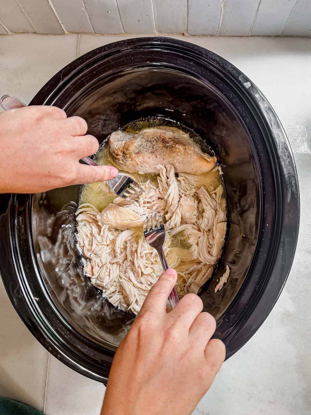 shredded slow cooker chicken with two forks.
