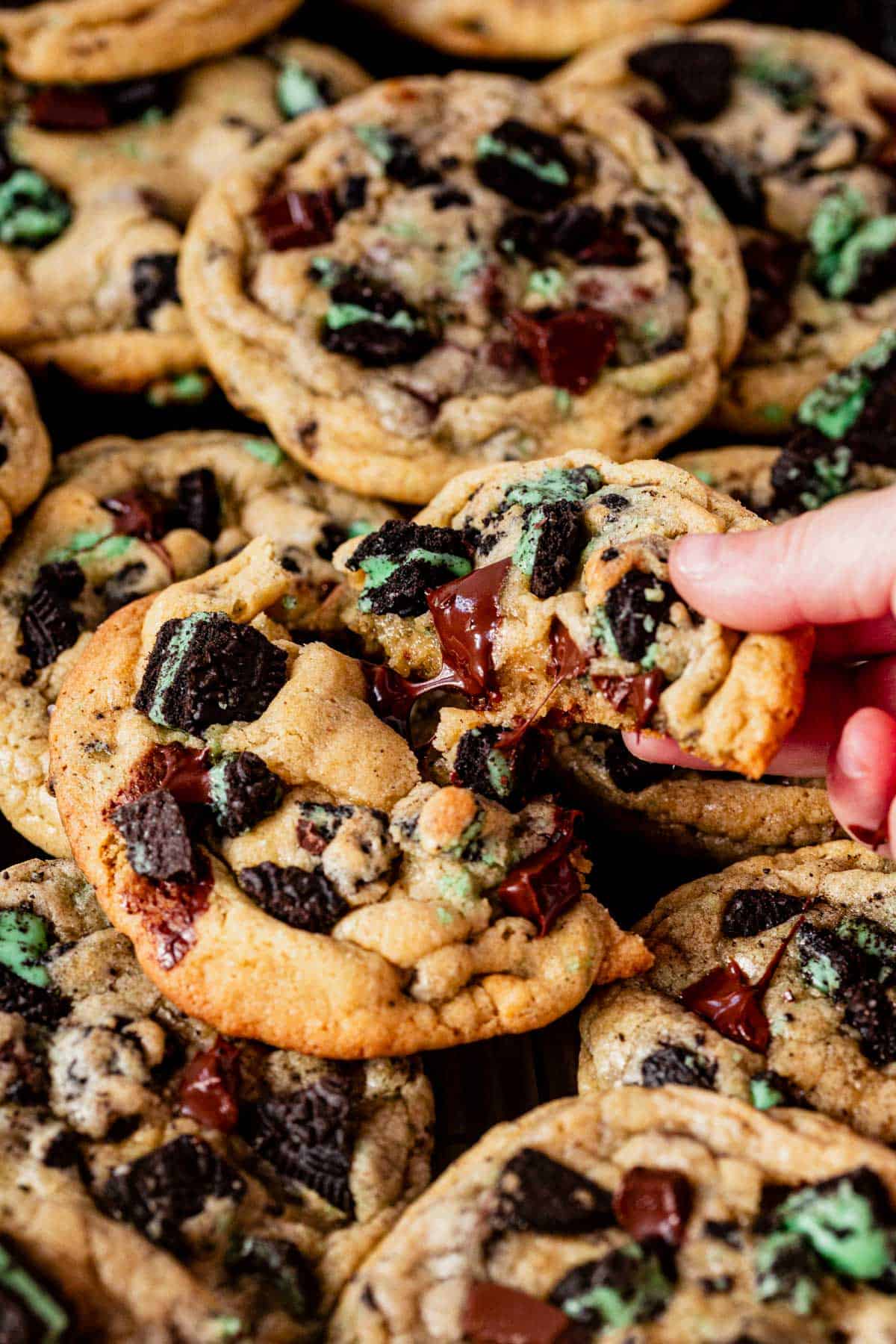 picking up half of a oreo mint cookie with the gooey chocolate melted in the center.