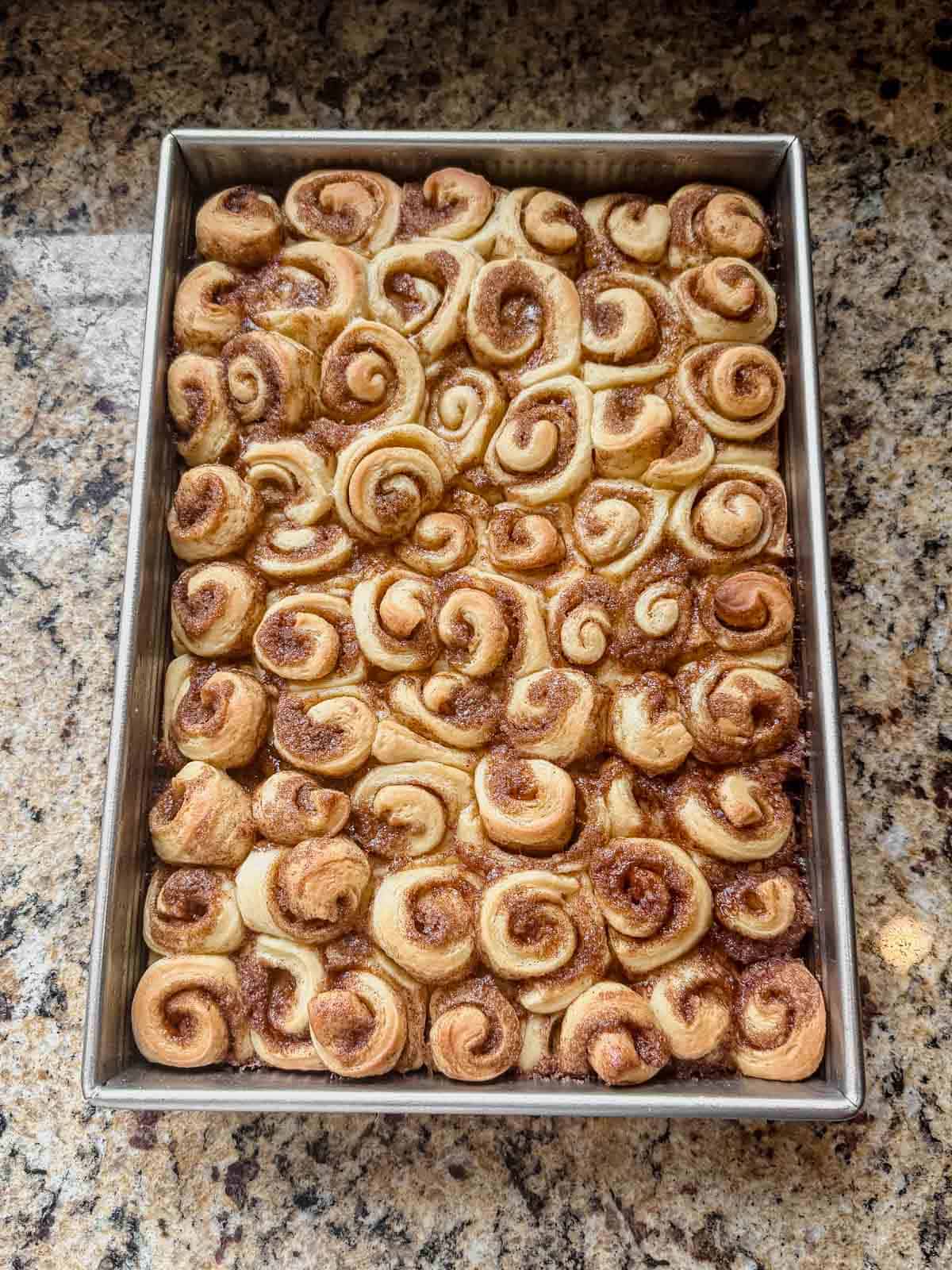 baked mini cinnamon rolls cooling in a pan.