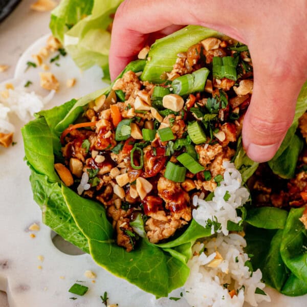 picking up a saucy ground chicken lettuce wrap topped with green onion and cilantro.