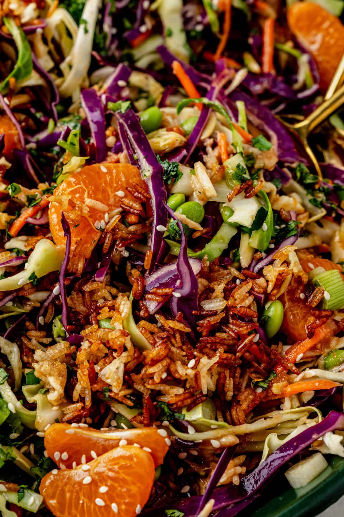 close up of mandarin orange chicken salad tossed in a ginger soy dressing.