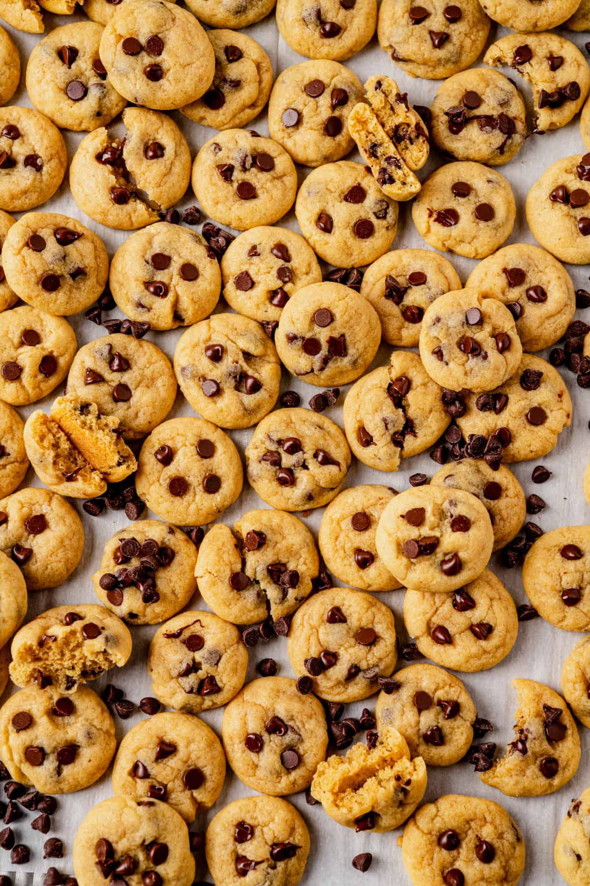 a baking sheet full of mini chocolate chip cookies with some broken in half.