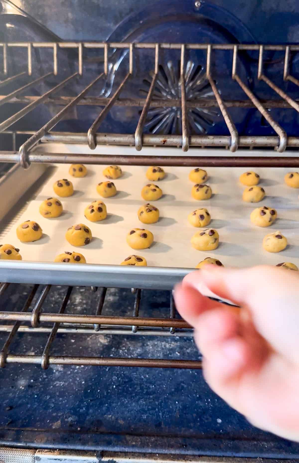 putting a tray of mini chocolate chip cookies into the oven.