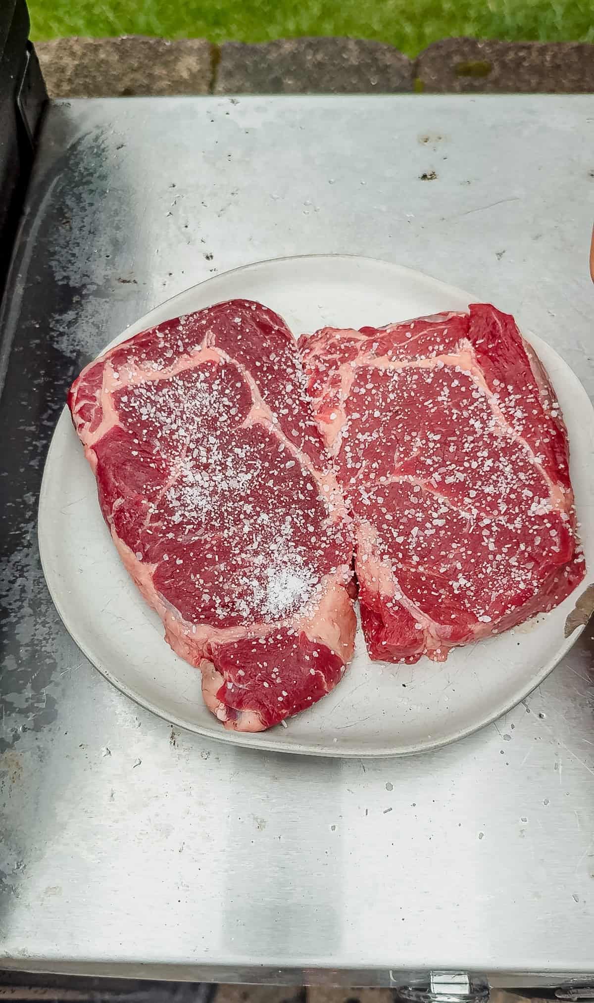 Two raw, marbled steaks on a white plate are sprinkled with coarse salt, sitting on a metal surface outdoors, ready for grilling.
