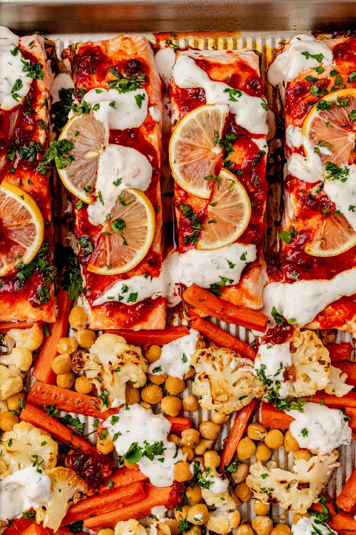 Baked harissa salmon fillets topped with lemon slices, sauce, and herbs, served alongside roasted carrots, cauliflower, chickpeas, and drizzled white sauce on a sheet pan.