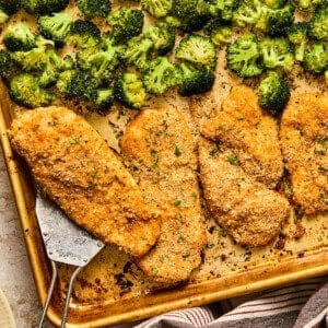 Baked parmesan crusted chicken breasts and roasted broccoli on a sheet pan, with a metal spatula lifting one chicken piece.