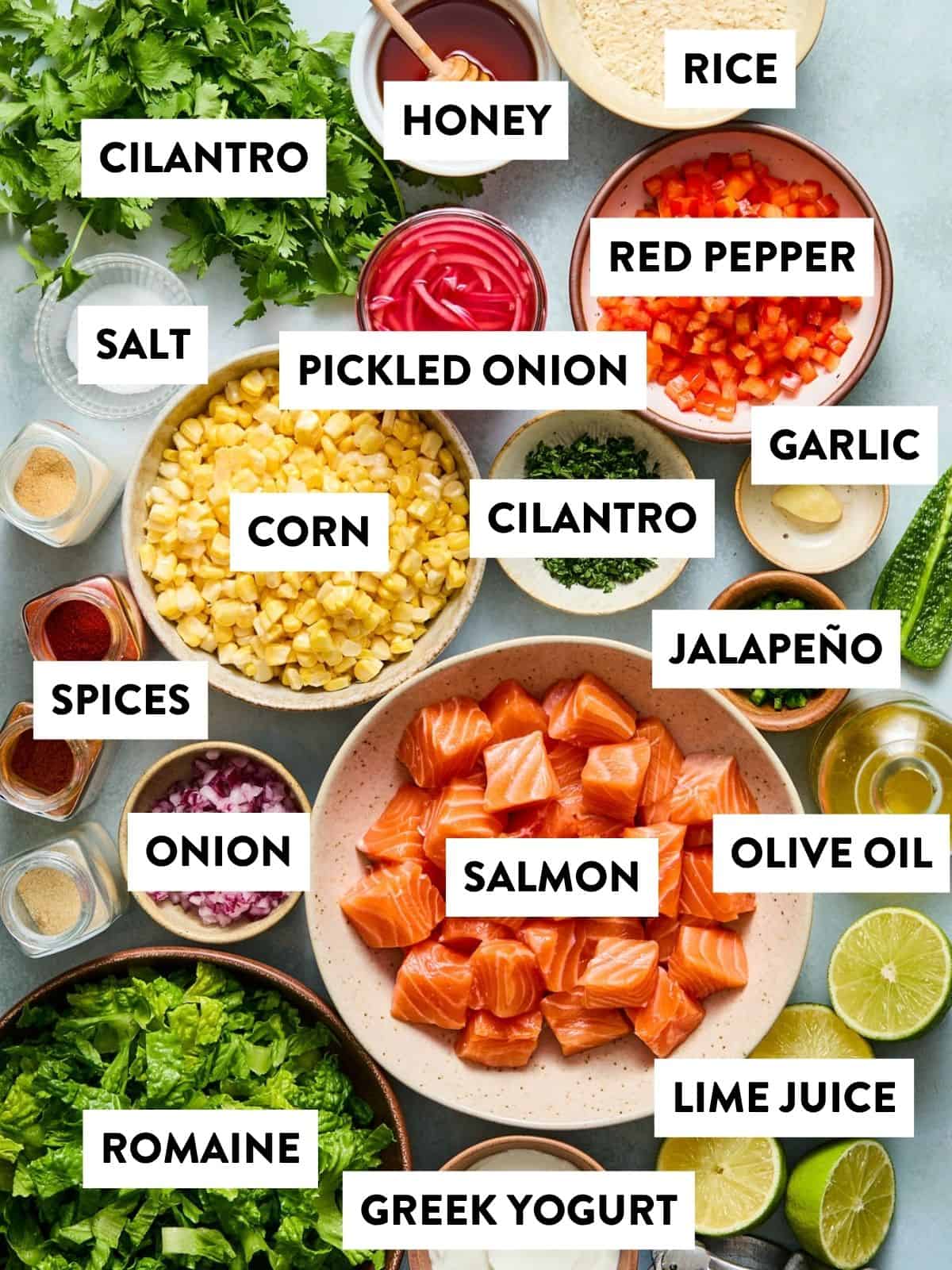 An overhead view of various labeled ingredients in bowls, including salmon, corn, red pepper, jalapeño, cilantro, romaine, pickled onion, honey, rice, garlic, lime juice, olive oil, salt, onion, spices, and Greek yogurt—everything you need to create flavorful salmon taco bowls.