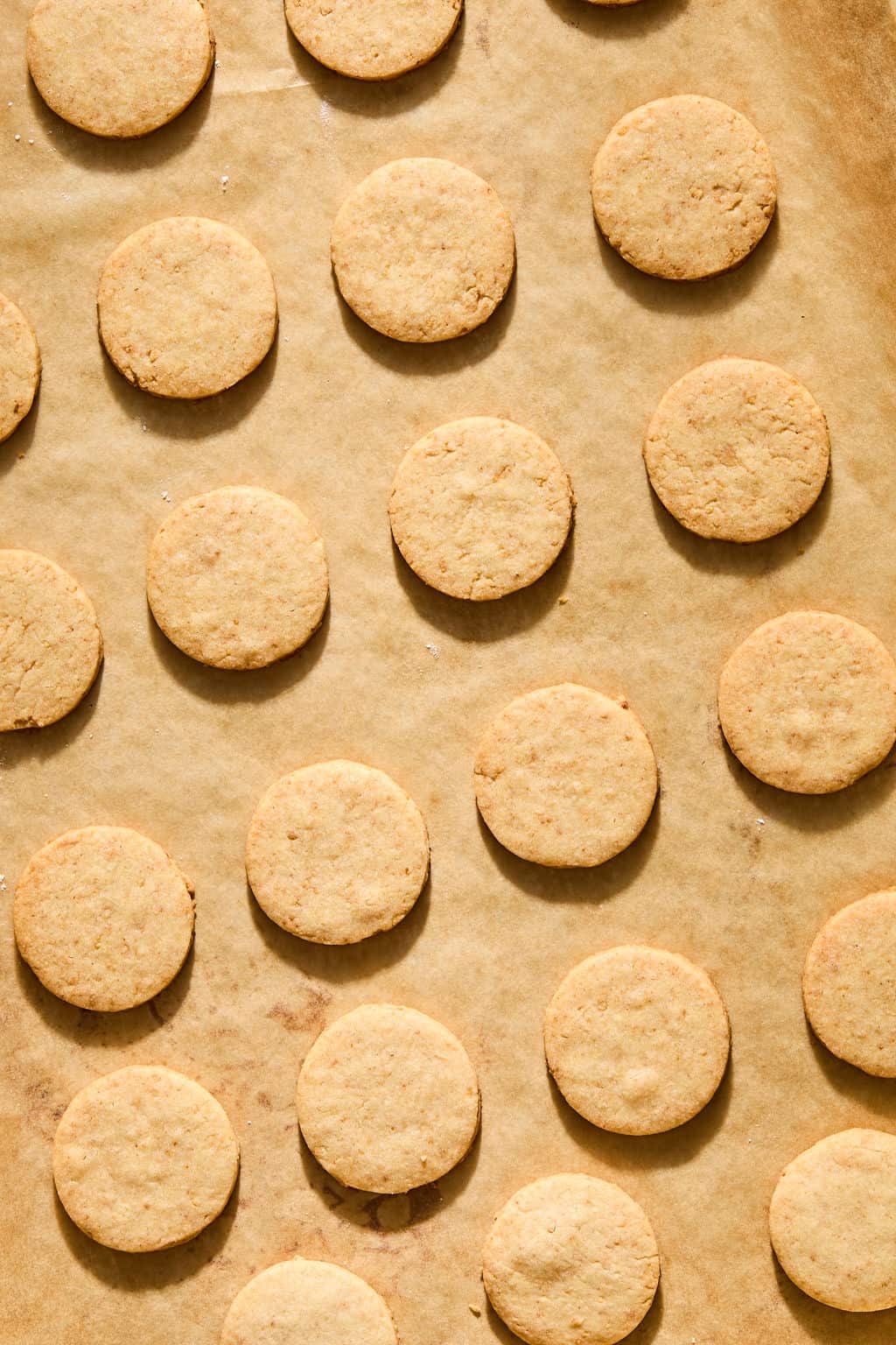Rows of round, golden-brown cookies are neatly arranged on a sheet of parchment paper, evenly spaced and freshly baked.