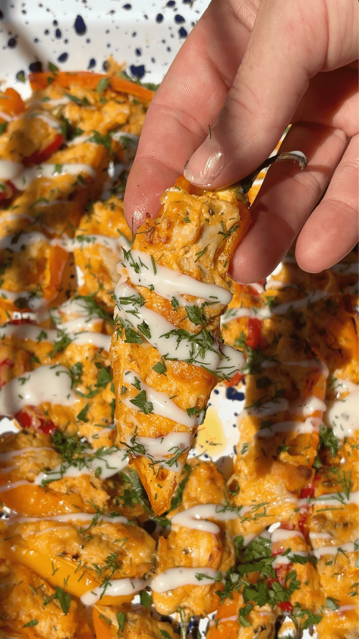 A hand holds a cheesy, stuffed mini bell pepper topped with fresh herbs and a drizzle of creamy white sauce. More stuffed peppers are scattered on a white, speckled plate below.