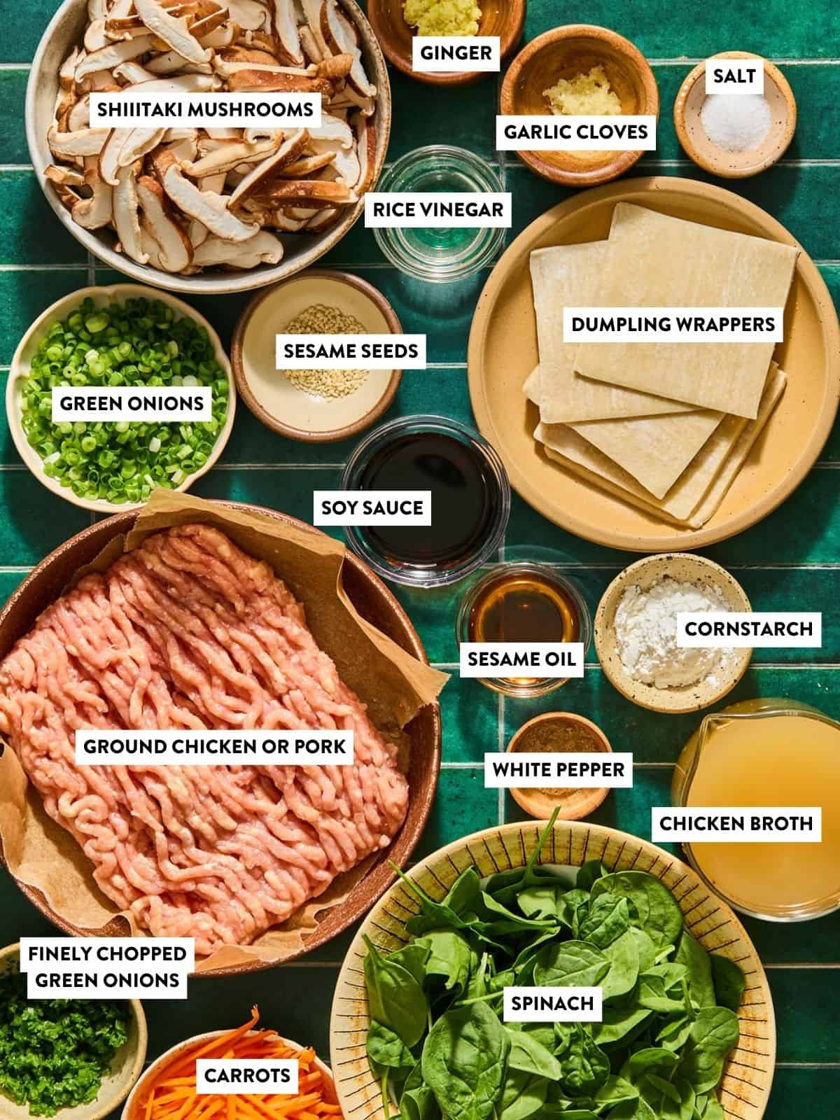 A top-down view of labeled ingredients for dumplings, including ground meat, mushrooms, green onions, spinach, carrots, dumpling wrappers, sauces, spices, and other seasonings on a green background.