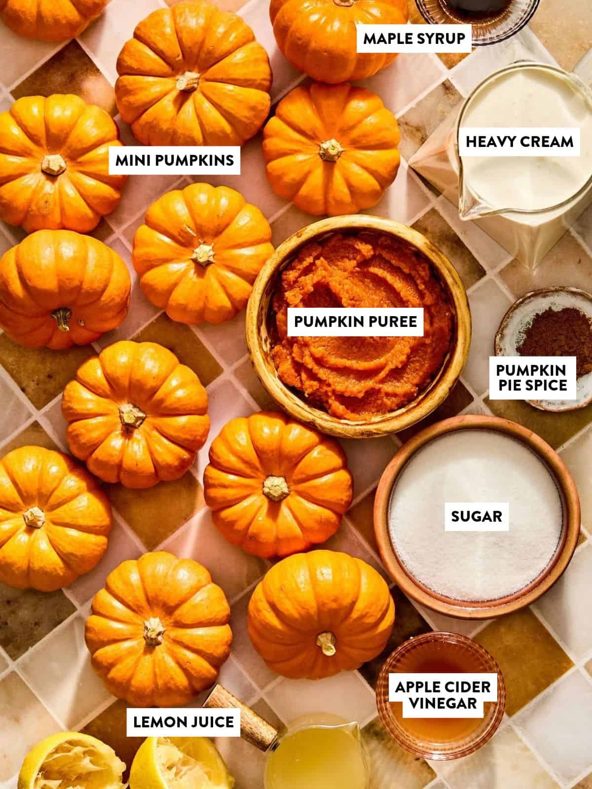 Ingredients for pumpkin posset arranged on a tiled surface, including mini pumpkins, pumpkin puree, heavy cream, pumpkin pie spice, sugar, apple cider vinegar, and lemon juice.